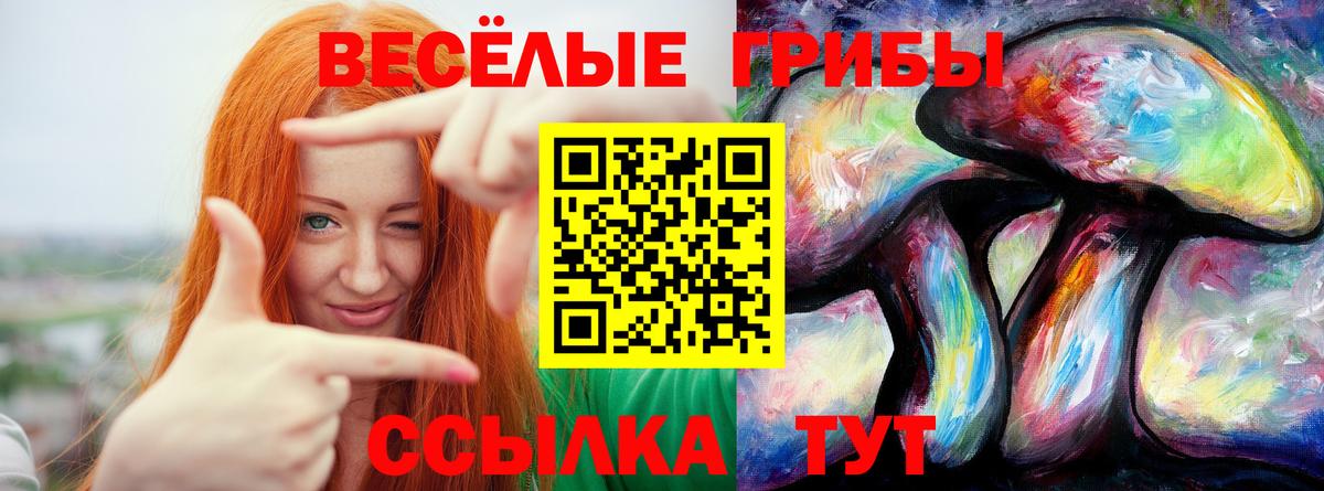 Псилоцибиновые грибы Psilocybine cubensis  Вход с VPN  Тверь 